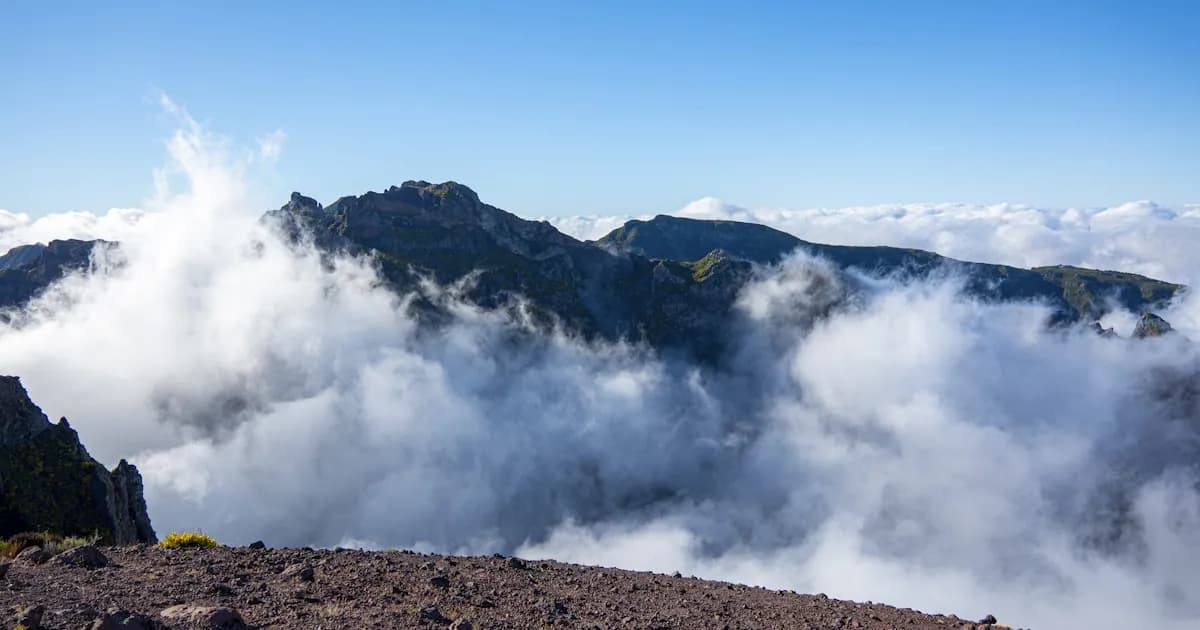 Best Easy Walks in Madeira — Family-Friendly Hikes for