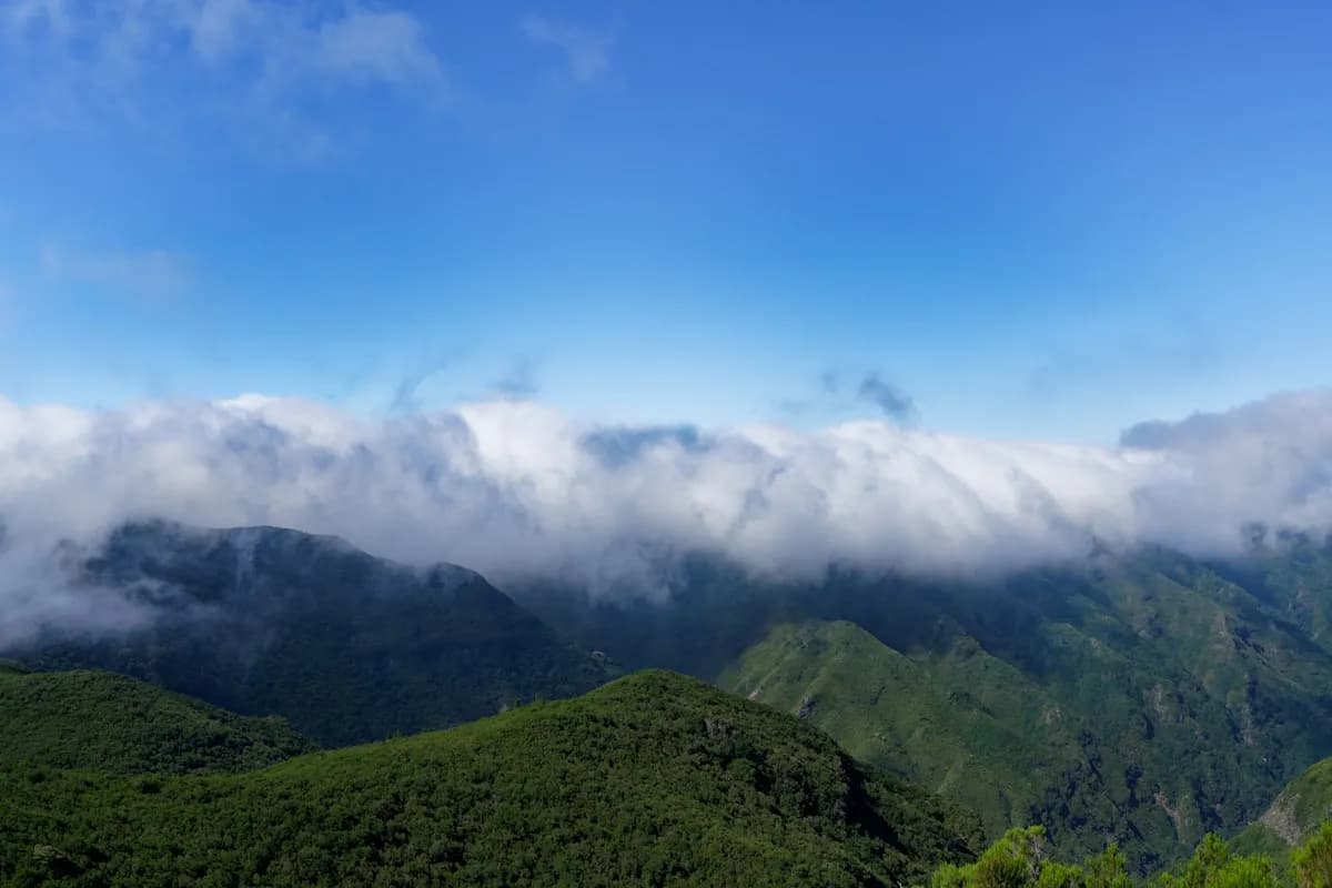 Beste Uitzichtpunten op Madeira: 10 Miradouros die u