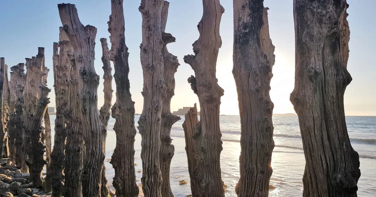 História da Ilha da Madeira — Da Descoberta ao Paraíso