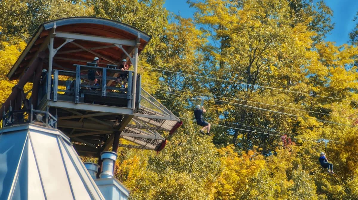 Jak Szybka Jest Tyrolka? Prędkość, Dystans i Fizyka