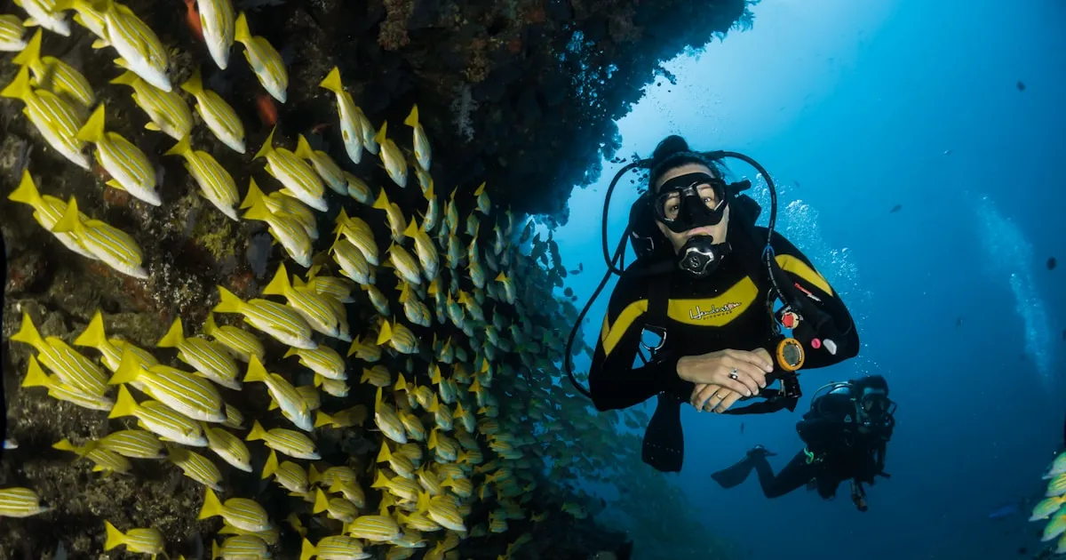 Kayak en Madeira: Cuevas Marinas, Delfines y Aventuras