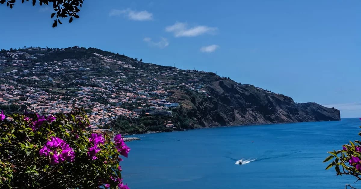 Festa da Flor da Madeira 2026: Datas, Cortejo e Guia