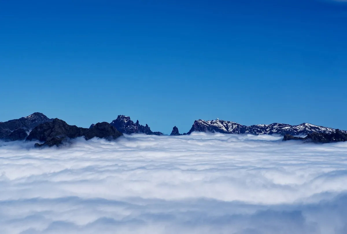 Madeira im Winter: Was Sie erwartet