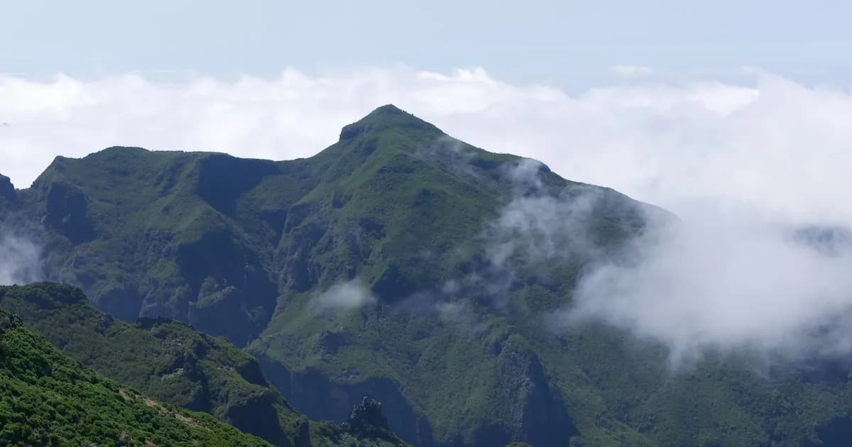 Museus e Jardins da Madeira: Cultura e Natureza em