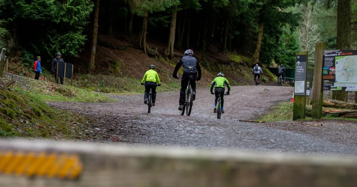 Bicicleta de Montaña en Madeira: Rutas, Consejos y Guía