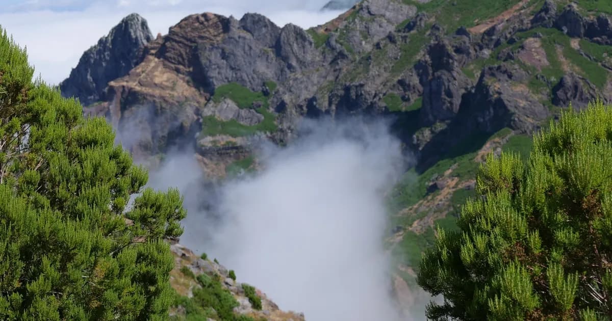 Dias de Chuva na Madeira: 15 Atividades Indoor e