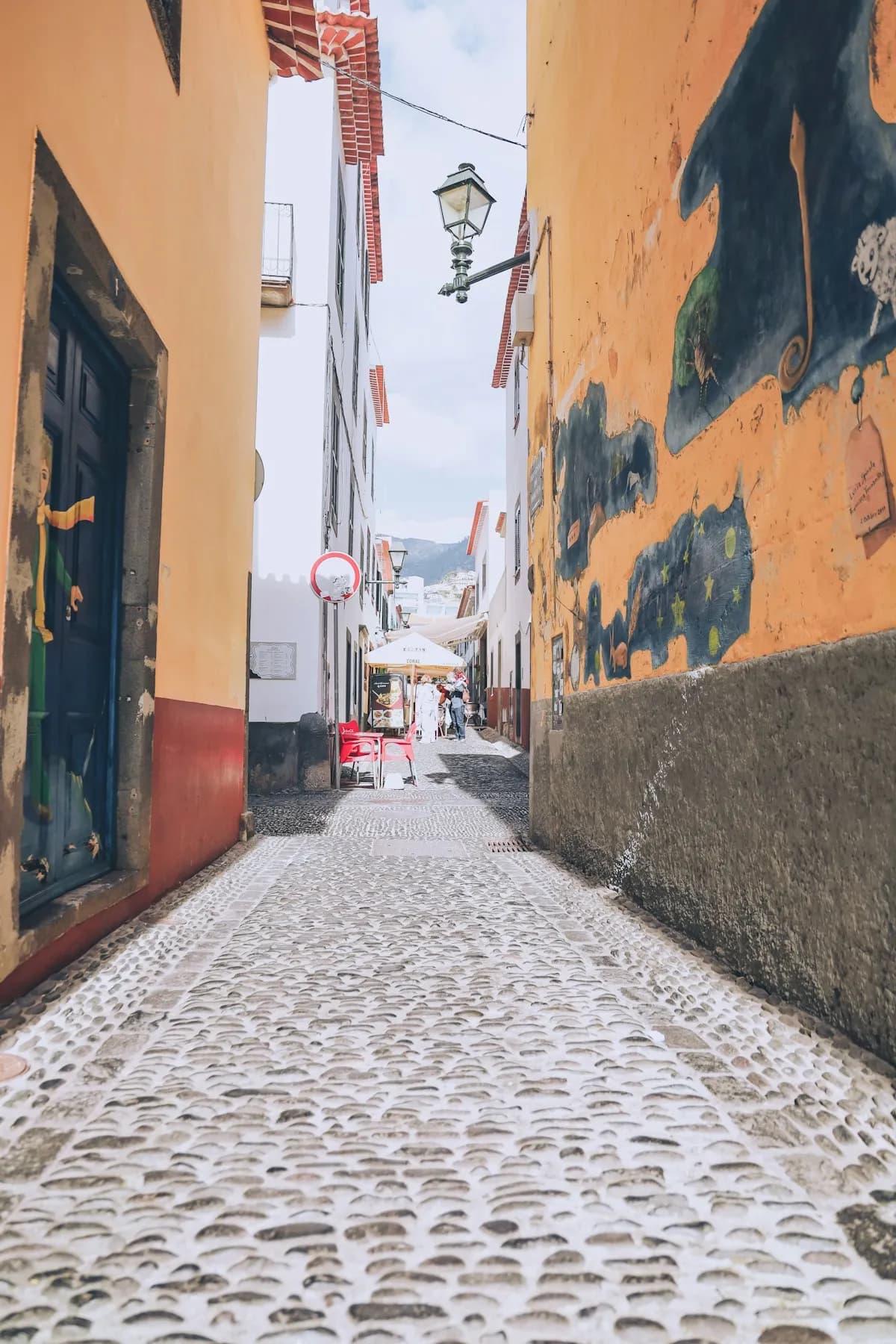 Qué Hacer en Madeira: Las 25 Mejores Actividades y